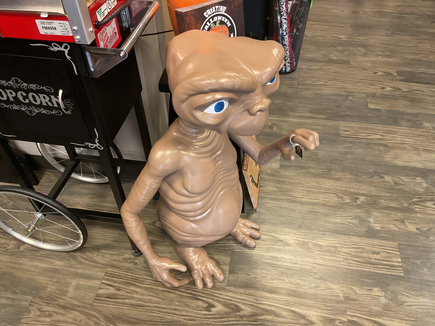 LIFESIZE ET EXTRA TERRESTRIAL