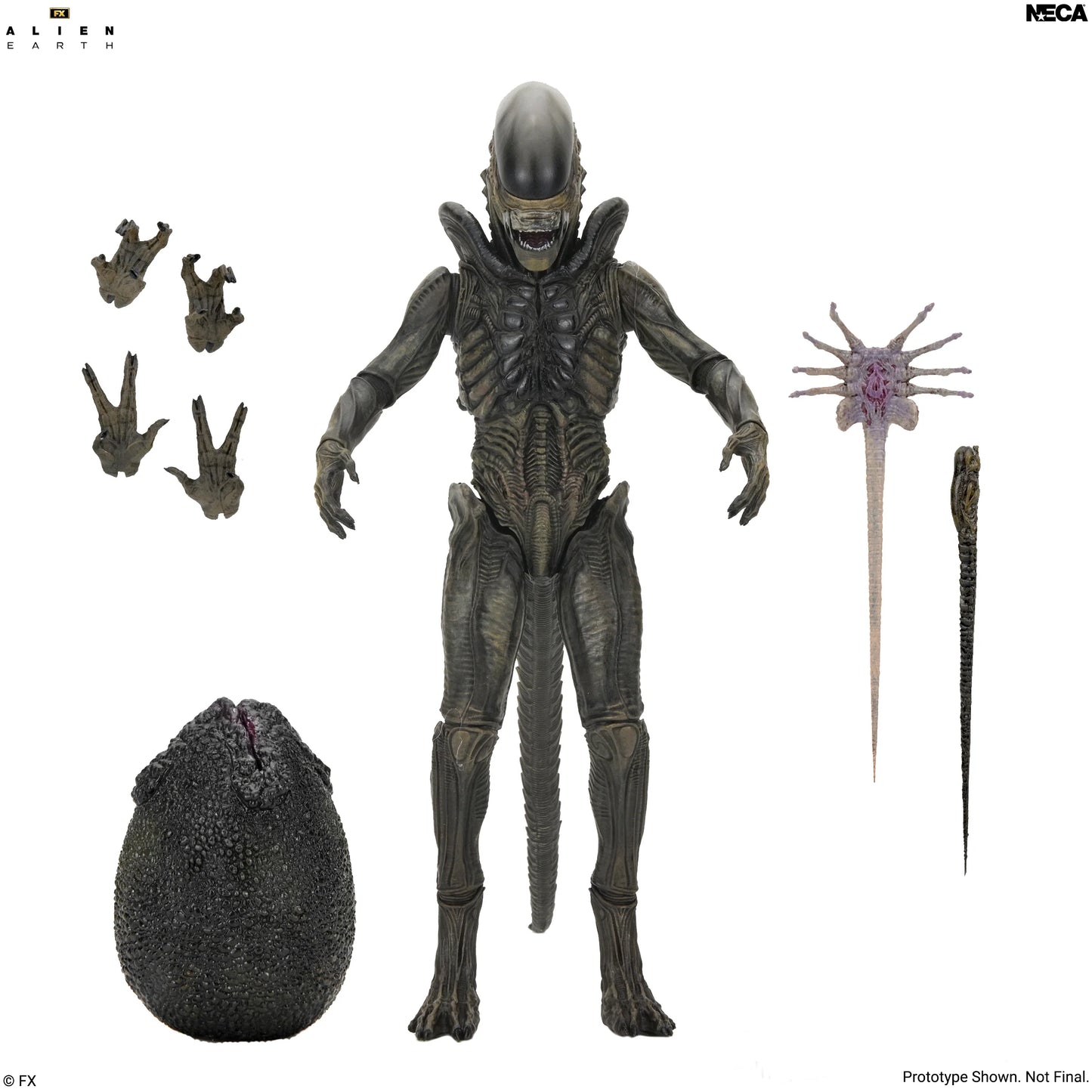 Alien: Earth - Ultimate Xenomorph 7" Scale Action Figure (PRE-ORDER)