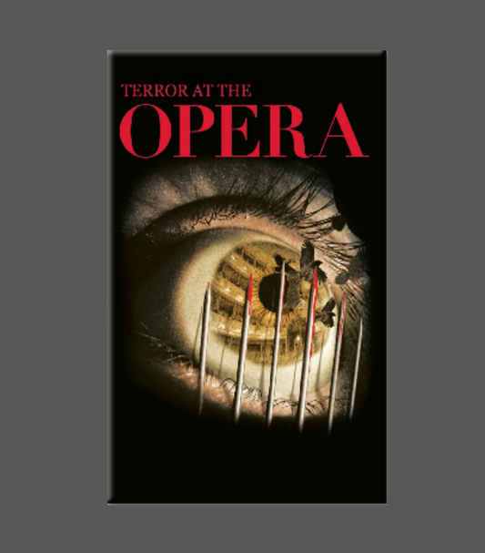 OPERA Magnet