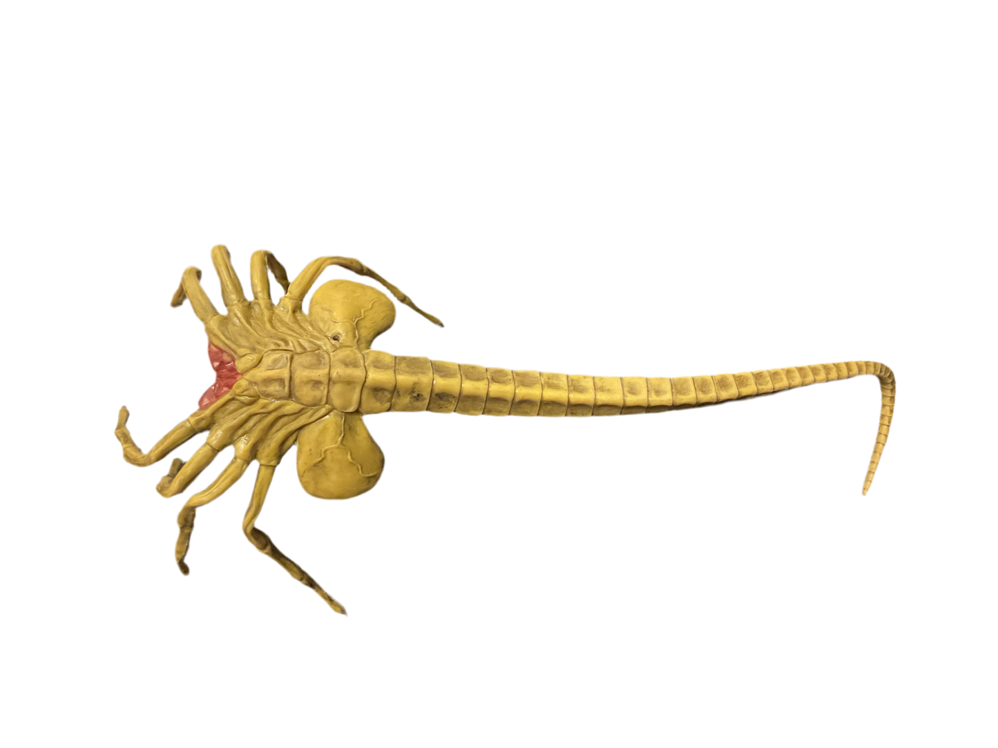 Alien's Mini Facehugger Prop Replicas