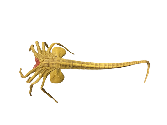 Alien's Mini Facehugger Prop Replicas