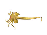 Alien's Mini Facehugger Prop Replicas