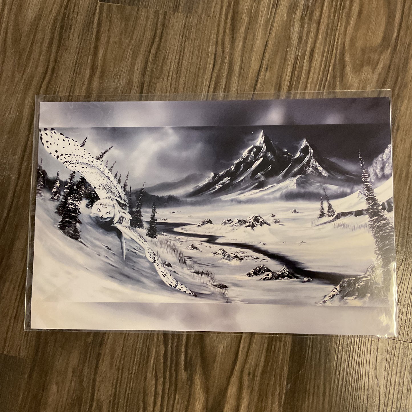 ART-PRINTS  - HARRY POTTER OWL LANDSCAPE