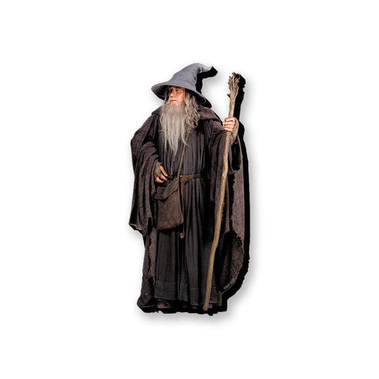 MAGNETS - Lord of the Rings Gandalf Funky Chunky Magnet