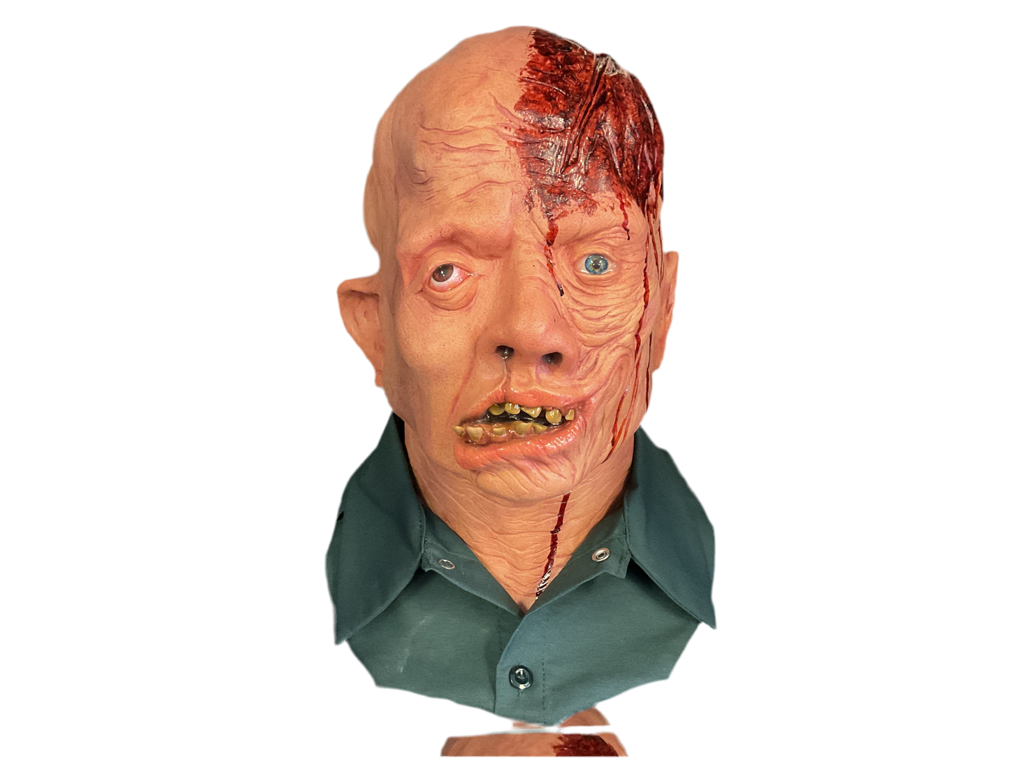 BUSTS - Living Ted