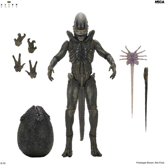 Alien: Earth - Ultimate Xenomorph 7" Scale Action Figure (PRE-ORDER)