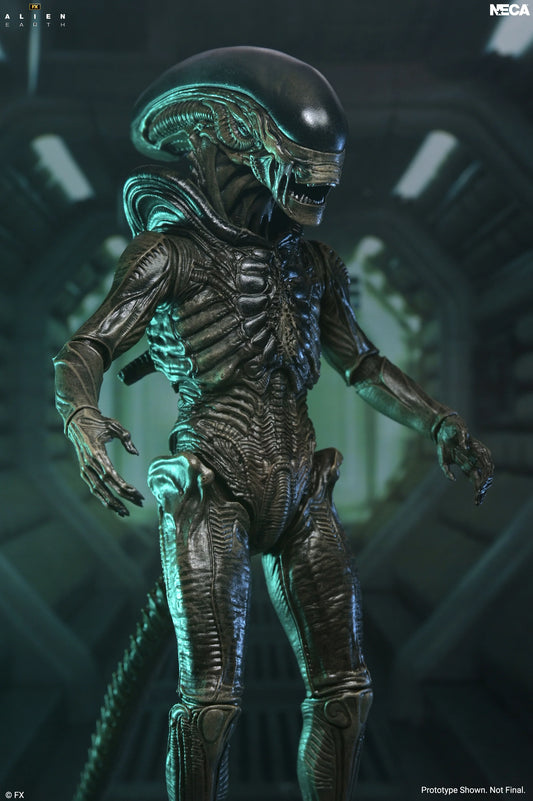 Alien: Earth - Ultimate Xenomorph 7" Scale Action Figure (PRE-ORDER)