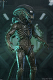 Alien: Earth - Ultimate Xenomorph 7" Scale Action Figure (PRE-ORDER)