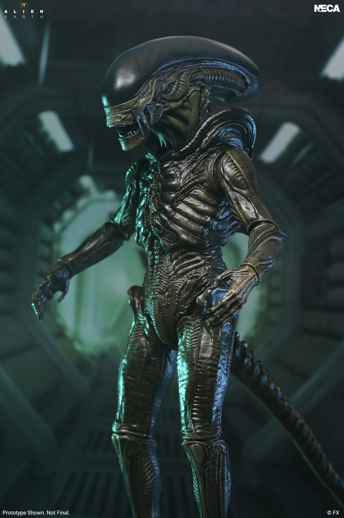 Alien: Earth - Ultimate Xenomorph 7" Scale Action Figure (PRE-ORDER)