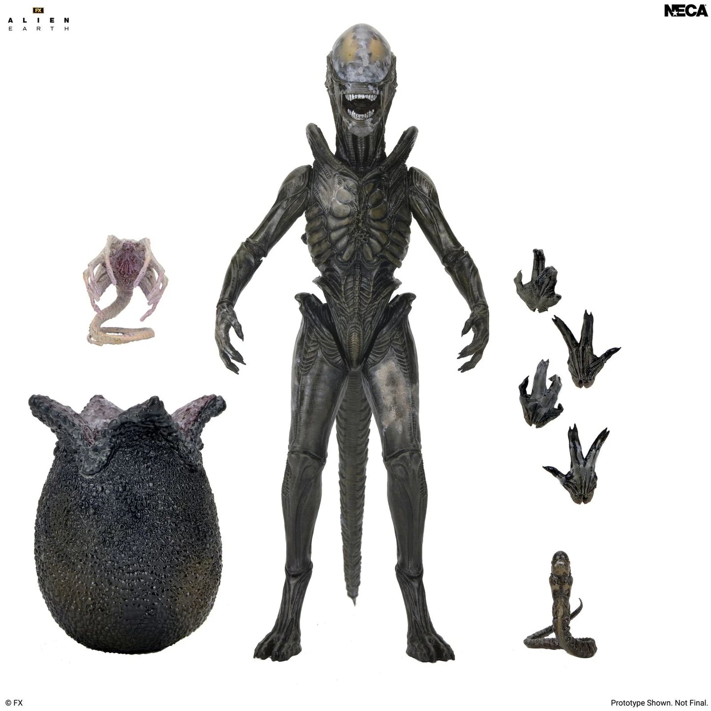 Alien: Earth - Ultimate Wendy's Xenomorph 7" Scale Action Figure (PRE-ORDER)