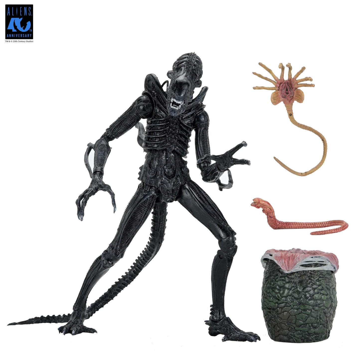 Aliens - 40th Anniversary Ultimate Xenomorph Warrior 7" Scale Action Figure (PRE-ORDER)