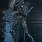 Aliens - 40th Anniversary Ultimate Xenomorph Warrior 7" Scale Action Figure (PRE-ORDER)