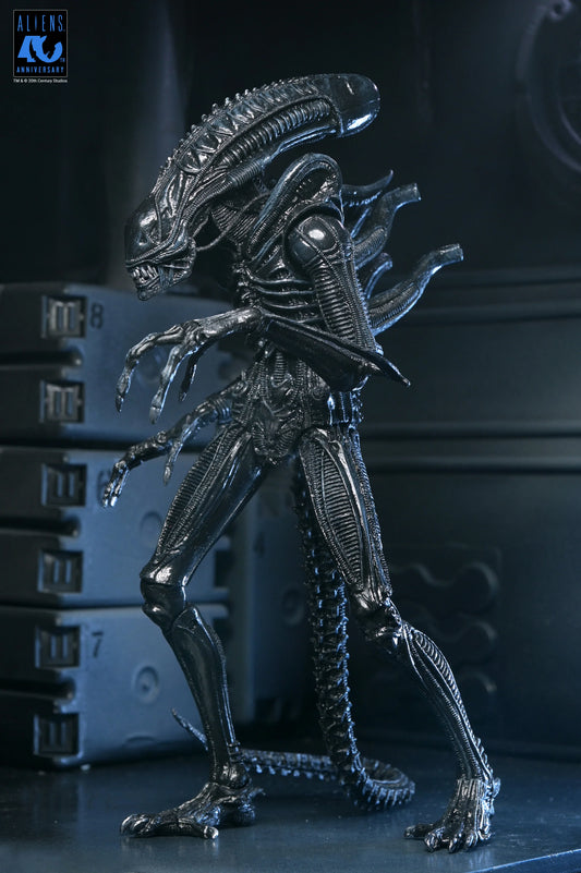 Aliens - 40th Anniversary Ultimate Xenomorph Warrior 7" Scale Action Figure (PRE-ORDER)