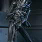 Aliens - 40th Anniversary Ultimate Xenomorph Warrior 7" Scale Action Figure (PRE-ORDER)
