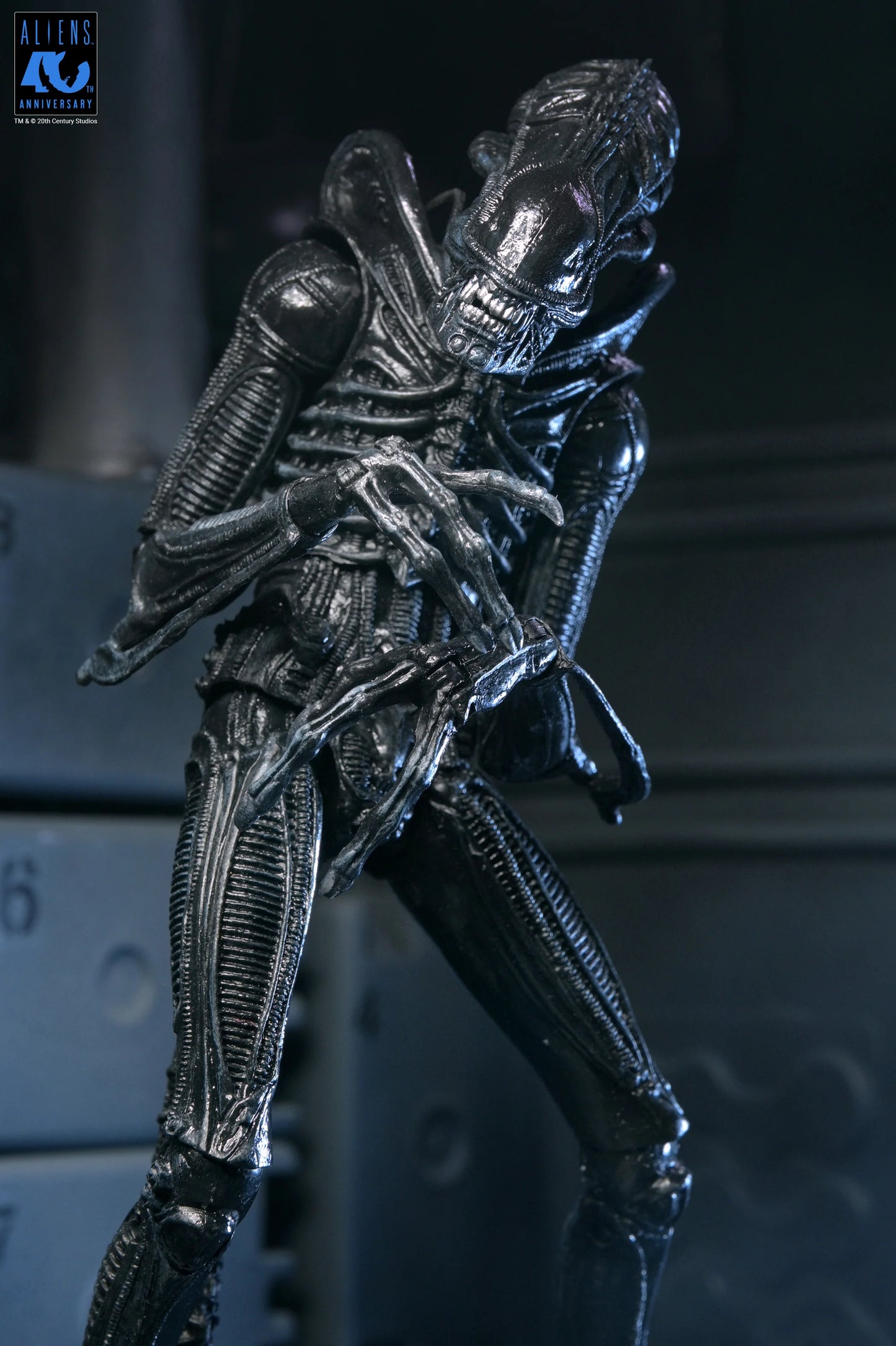 Aliens - 40th Anniversary Ultimate Xenomorph Warrior 7" Scale Action Figure (PRE-ORDER)