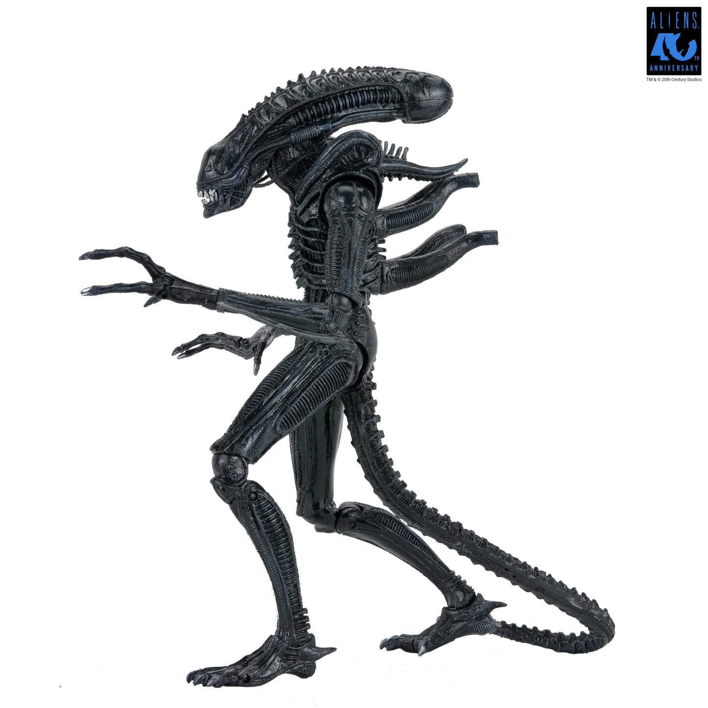 Aliens - 40th Anniversary Ultimate Xenomorph Warrior 7" Scale Action Figure (PRE-ORDER)