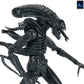 Aliens - 40th Anniversary Ultimate Xenomorph Warrior 7" Scale Action Figure (PRE-ORDER)