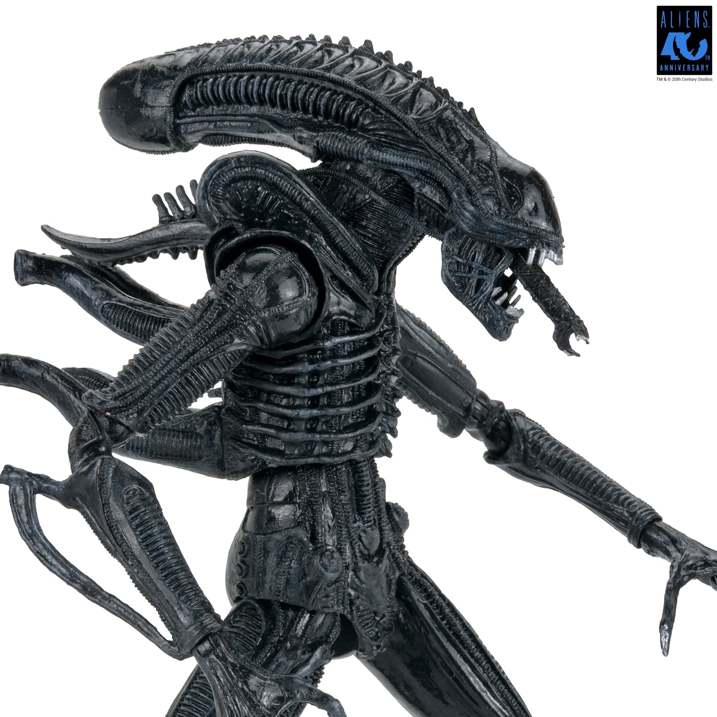 Aliens - 40th Anniversary Ultimate Xenomorph Warrior 7" Scale Action Figure (PRE-ORDER)