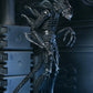 Aliens - 40th Anniversary Ultimate Xenomorph Warrior 7" Scale Action Figure (PRE-ORDER)
