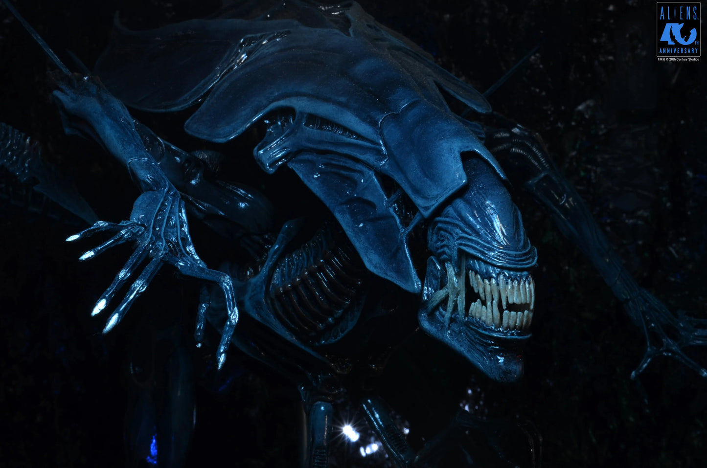 Aliens - 40th Anniversary Alien Queen Ultra Deluxe Boxed Figure (PRE-ORDER)