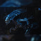 Aliens - 40th Anniversary Alien Queen Ultra Deluxe Boxed Figure (PRE-ORDER)