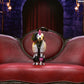 Ultimate Elvira 7” Scale Action Figure (PRE-ORDER)