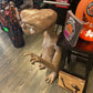 LIFESIZE ET EXTRA TERRESTRIAL