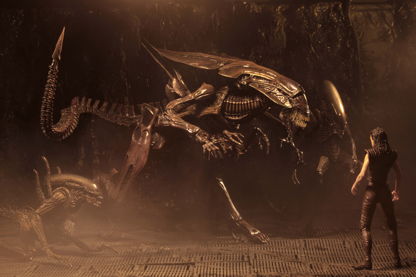 Alien Resurrection -  Alien Resurrection Queen Ultra Deluxe Boxed Figure (PRE-ORDER)
