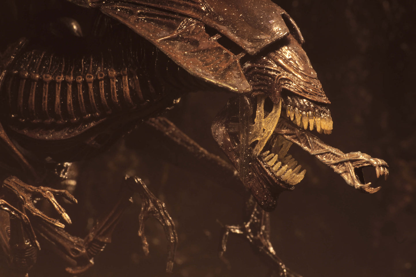 Alien Resurrection -  Alien Resurrection Queen Ultra Deluxe Boxed Figure (PRE-ORDER)