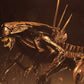 Alien Resurrection -  Alien Resurrection Queen Ultra Deluxe Boxed Figure (PRE-ORDER)