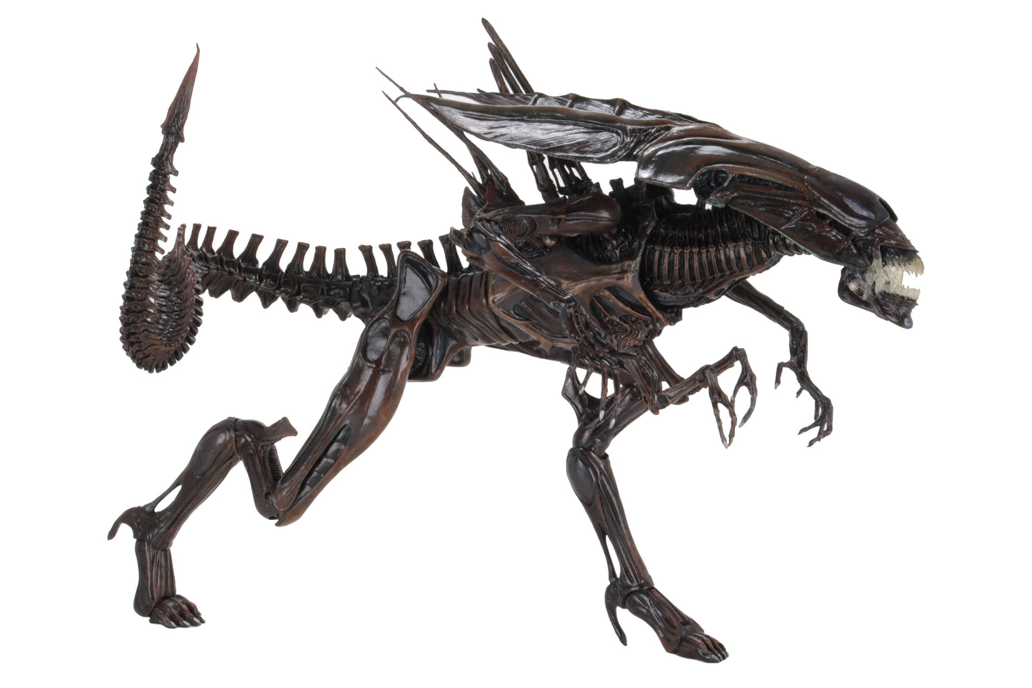 Alien Resurrection -  Alien Resurrection Queen Ultra Deluxe Boxed Figure (PRE-ORDER)