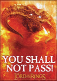 MAGNETS - Lord of the Rings You Shall Not Pass! Magnet